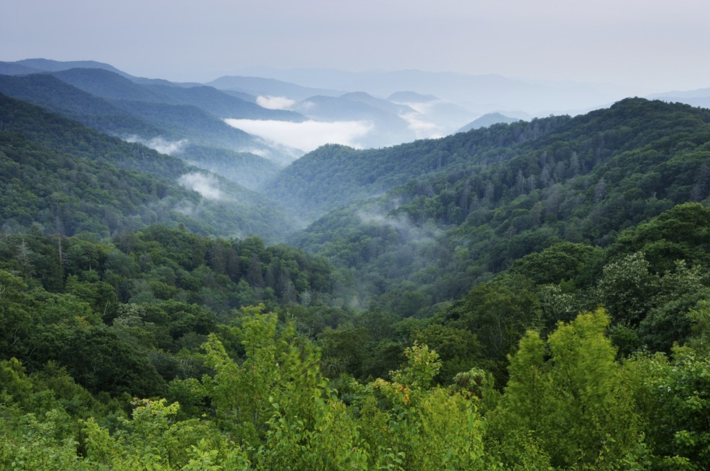 Smoky Mountains iStock medium