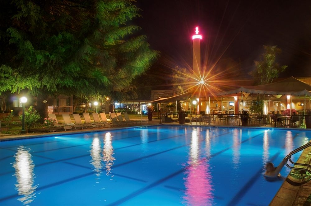 Flamingo Pool