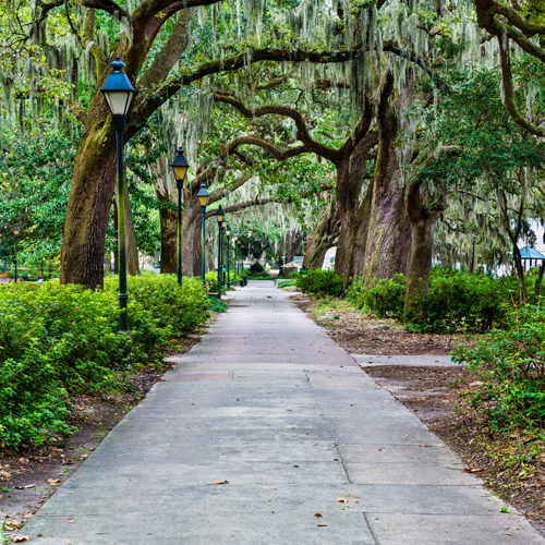 SAVANNAH: Insiders’ Guide | California Tour Blog