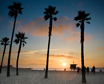 California Holiday Packages