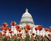 Washington D.C. Holiday Packages