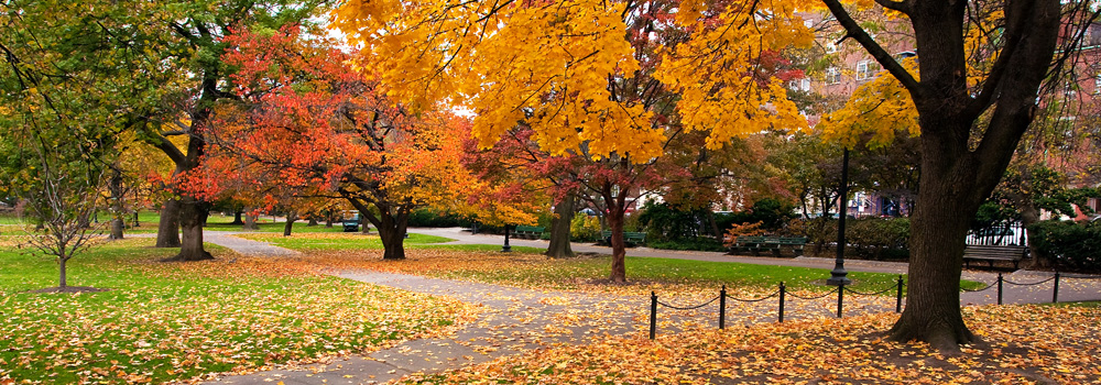 Washington, D.C., Philadelphia, Niagara Falls, Boston & New York