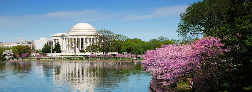 Philadelphia & Washington D.C.