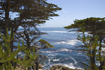Monterey_shutterstock_super thumb size