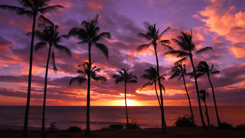 Free activities Hawaii Oahu Maui
