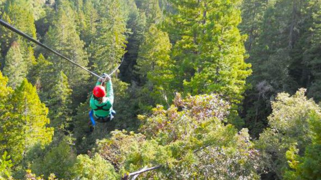 Sonoma County family vacation