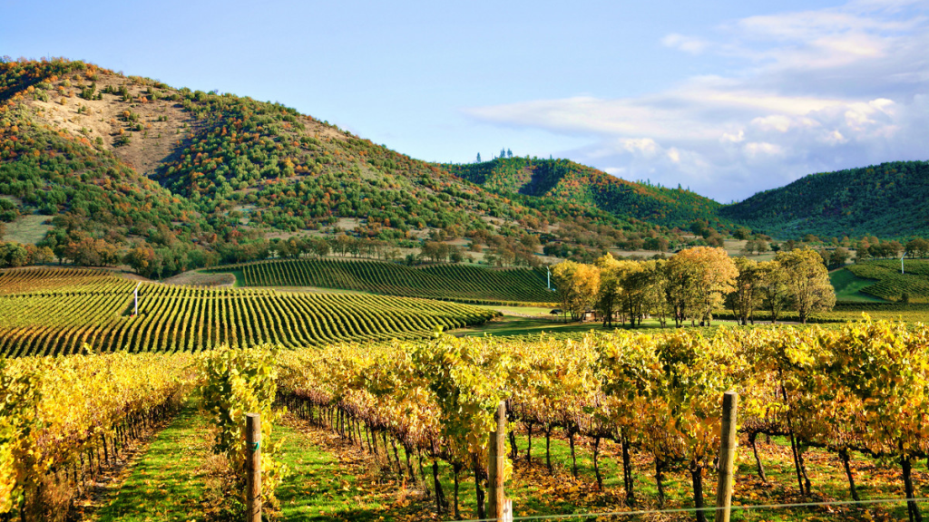 Sonoma Valley travel