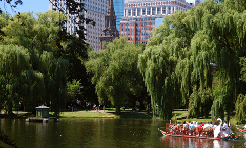 Photo of Boston Common